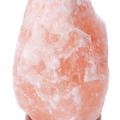 330 Pound Himalayan Salt Lamp