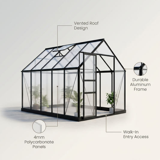 10 Ft. X 14 Ft. Black Frame Clear Garden Greenhouse, Solarium, and Conservatory — Lifestyle